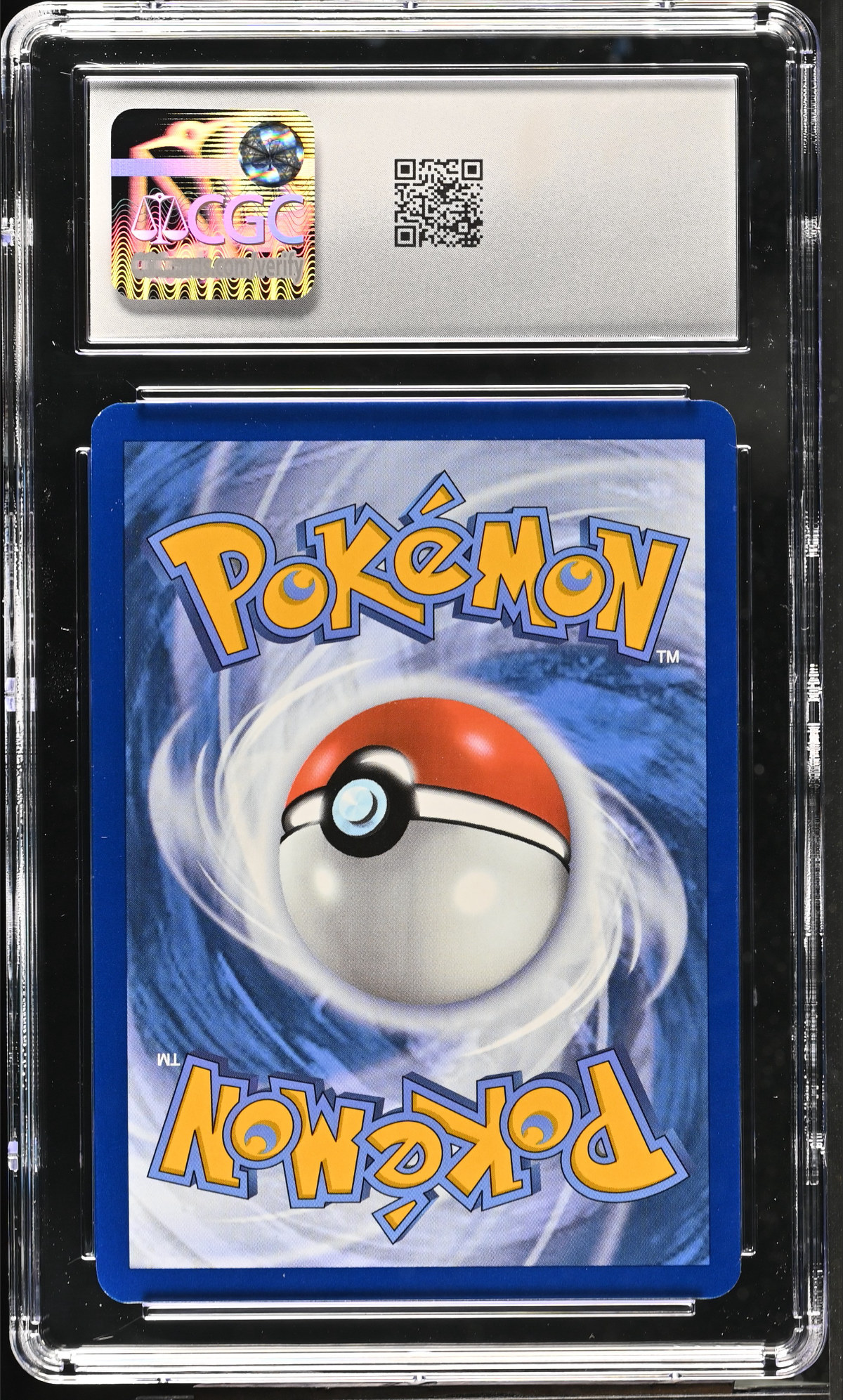 Squirtle 048 — slab rear, certification 6173151043