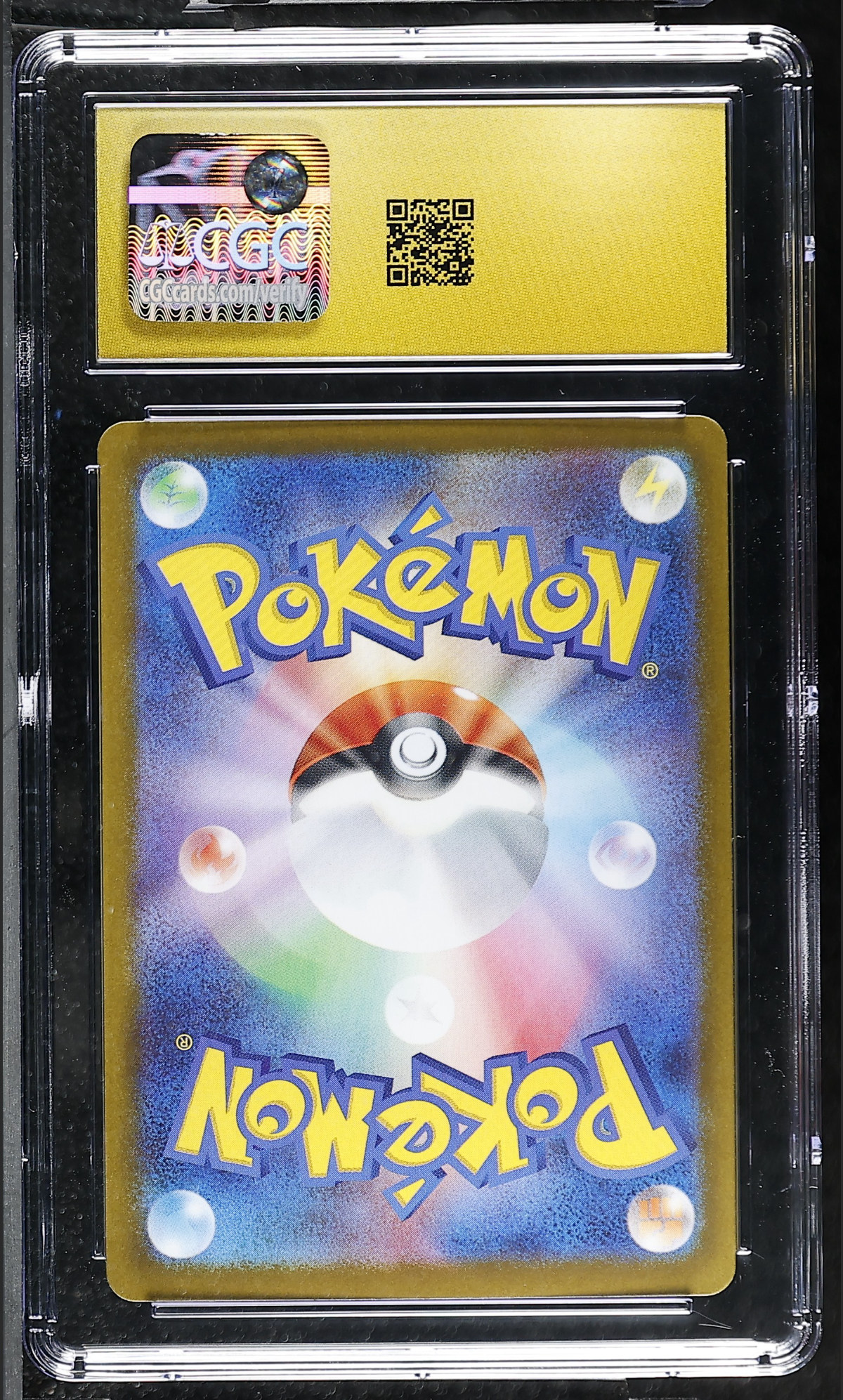 Salazzle ex 094/080 — slab rear, certification 6173503013