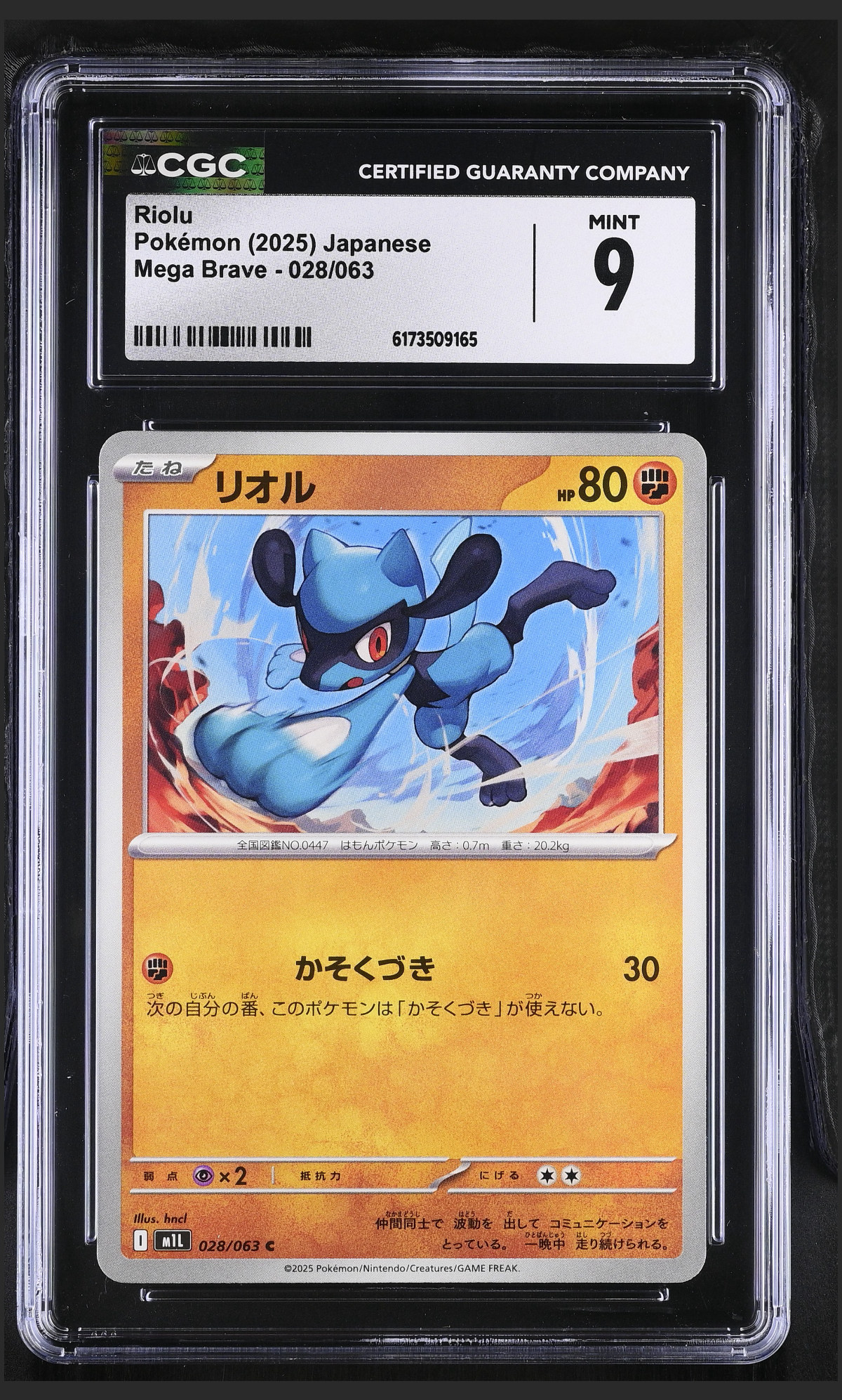 Riolu 028/063 certified slab