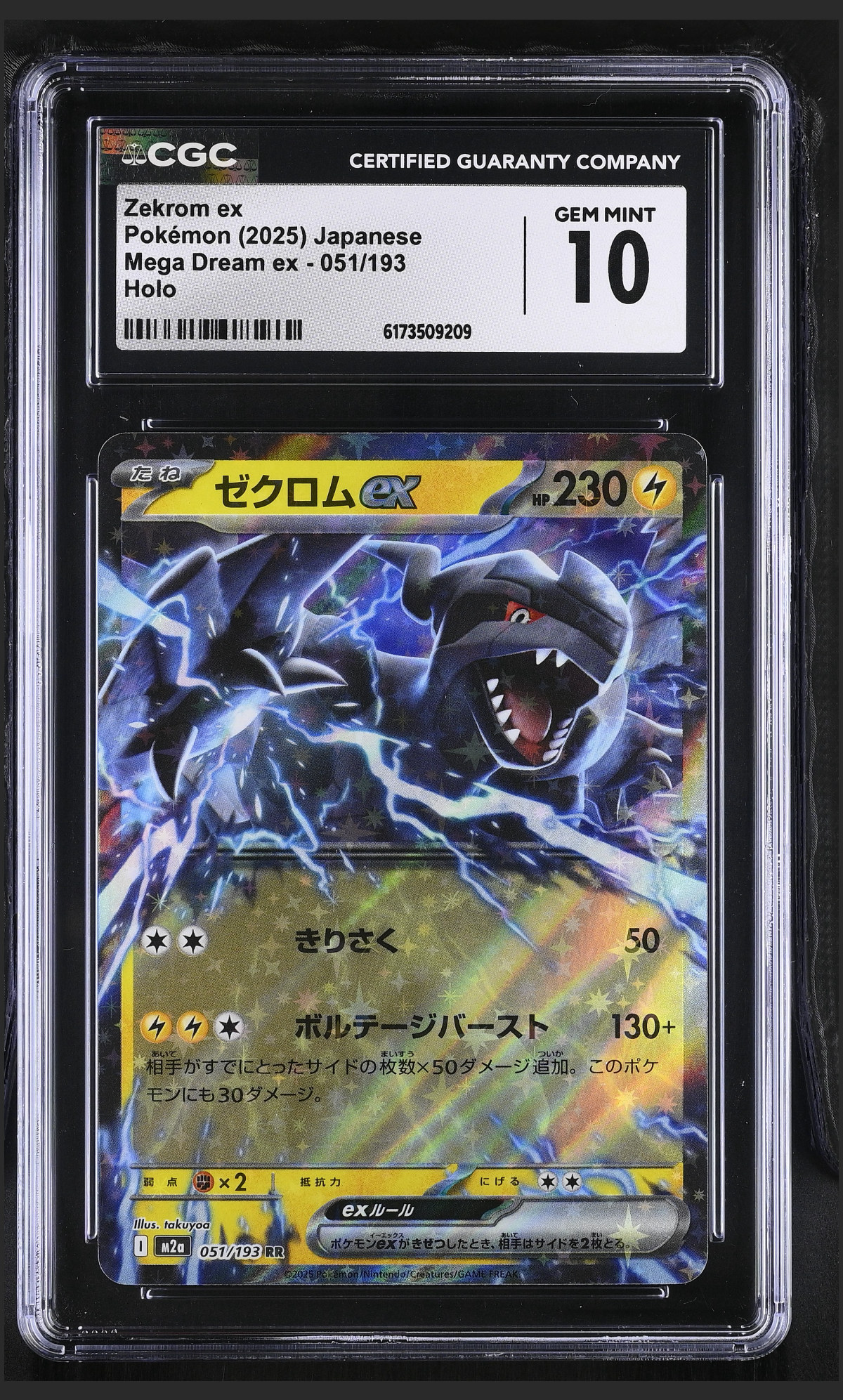 Zekrom ex 051/193 certified slab
