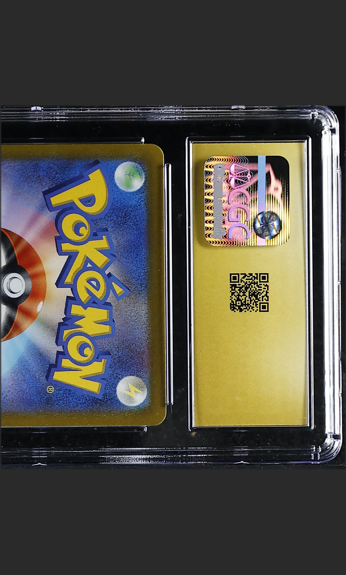 Charizard 012/100 — slab rear, certification 6176795249