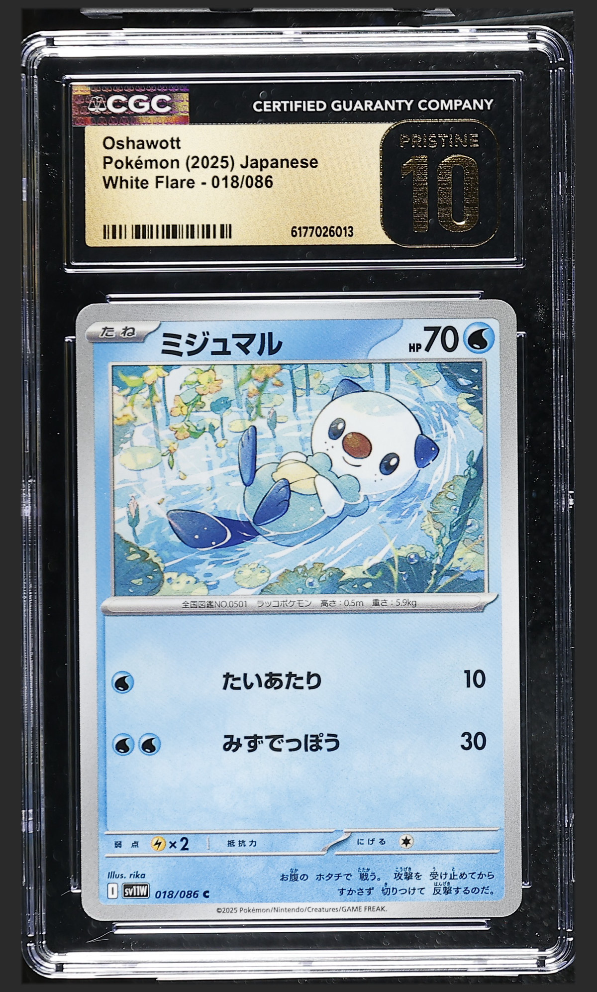 Oshawott 018/086 certified slab
