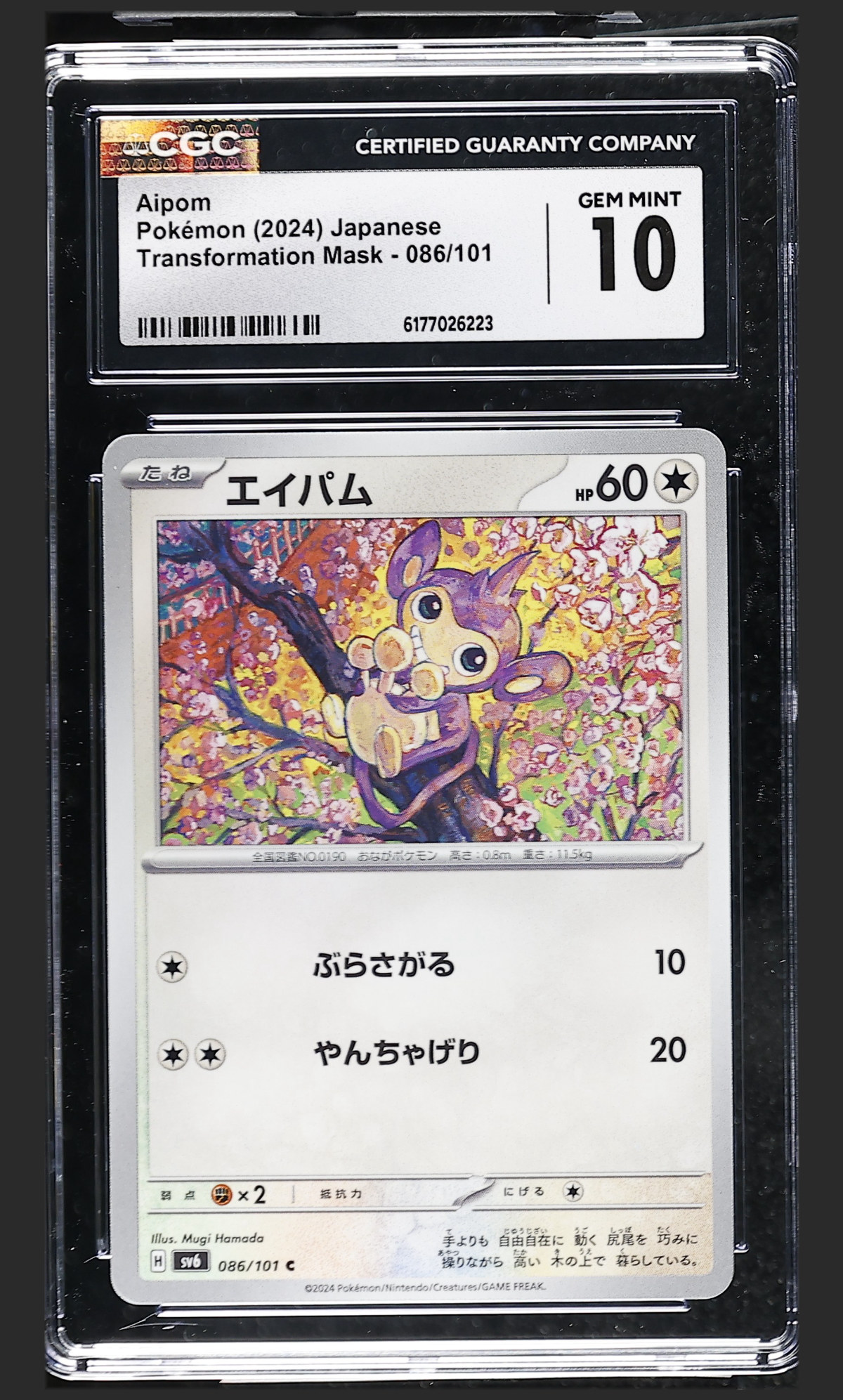 Aipom 086/101 certified slab