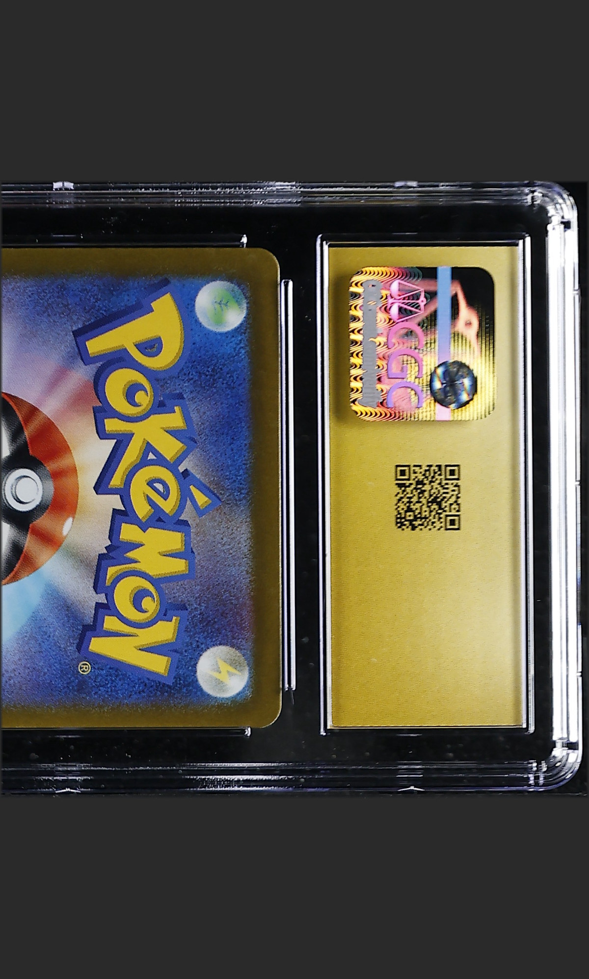 Salamence ex 129/100 — slab rear, certification 6179654196