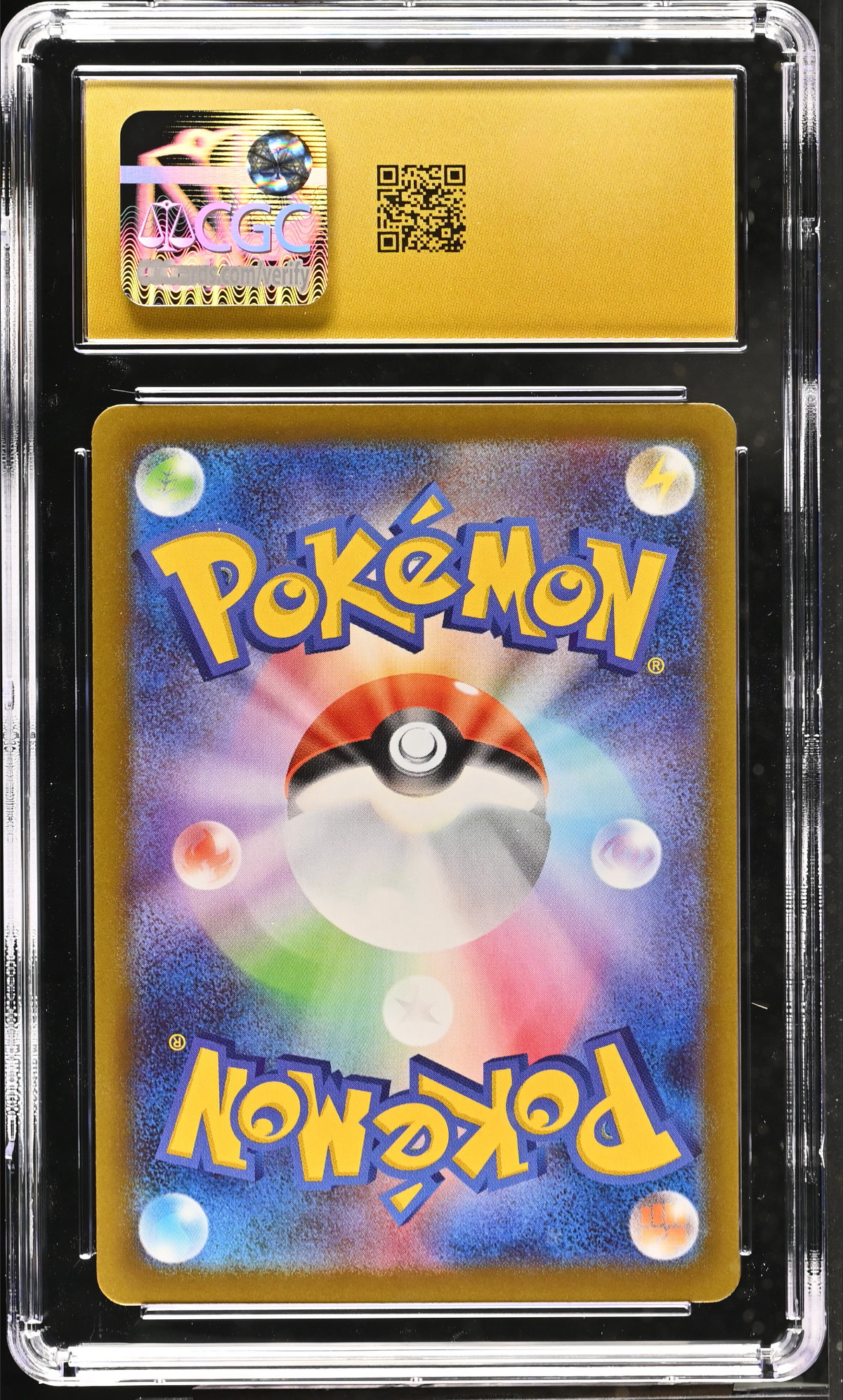 Dewgong 084/080 — slab rear, certification 6184011218