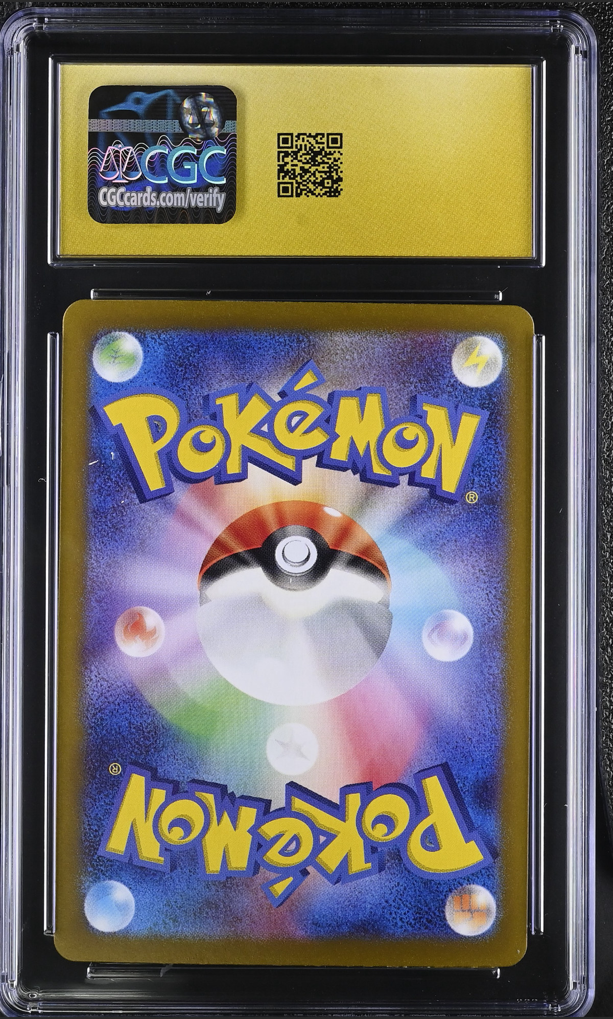 Noibat 111/100 — slab rear, certification 6199926136