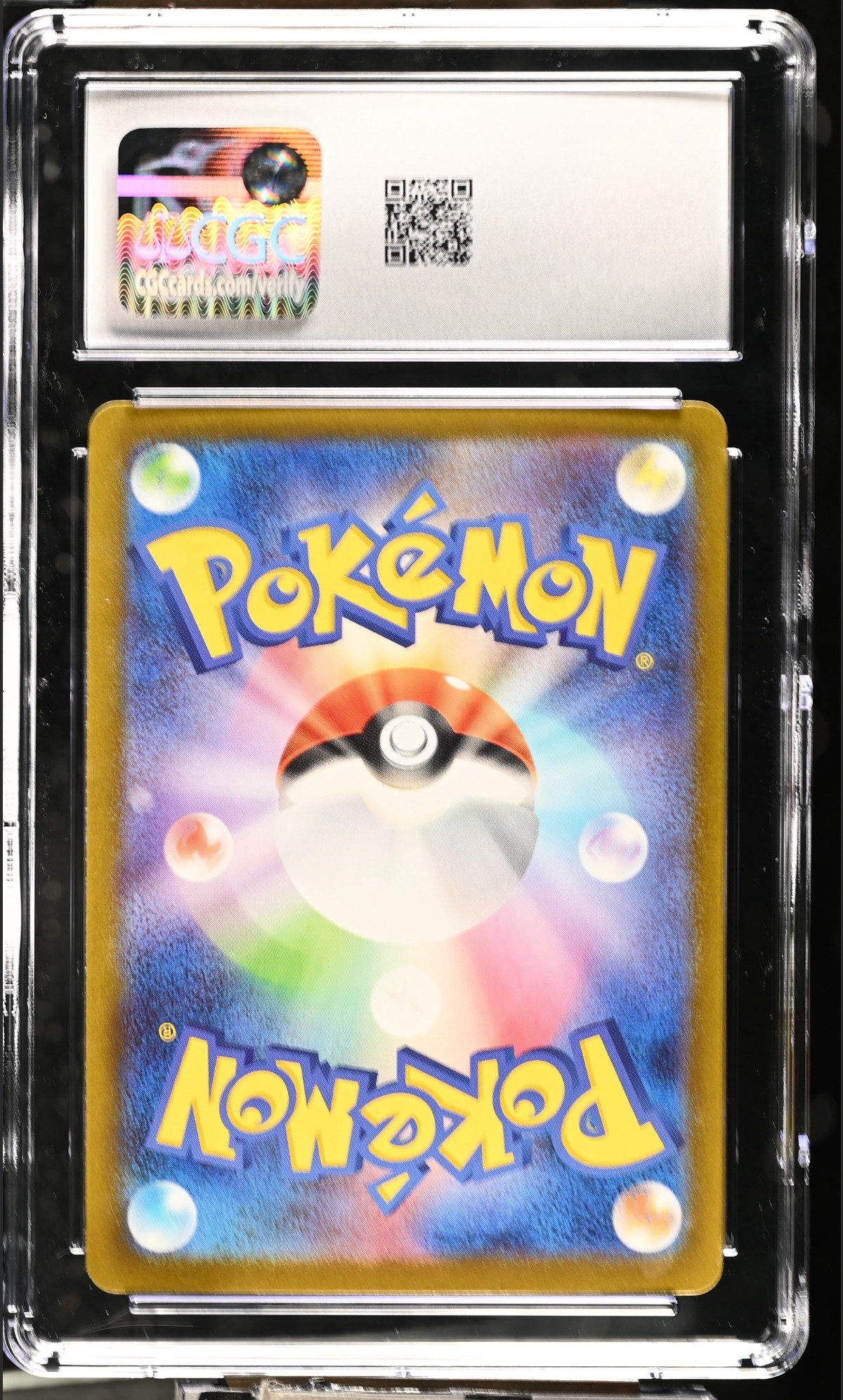 Mega Hawlucha ex 229/193 — slab rear, certification 6199930095
